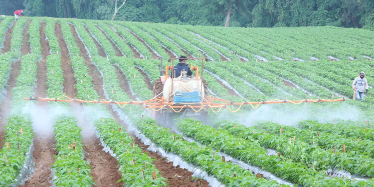 La tecnología y la maquinaria favorecen el trabajo agrícola