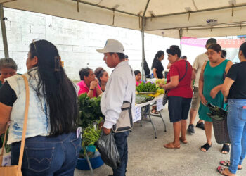 Las Cruces y San Benito son anfitriones de la Feria del Agricultor
