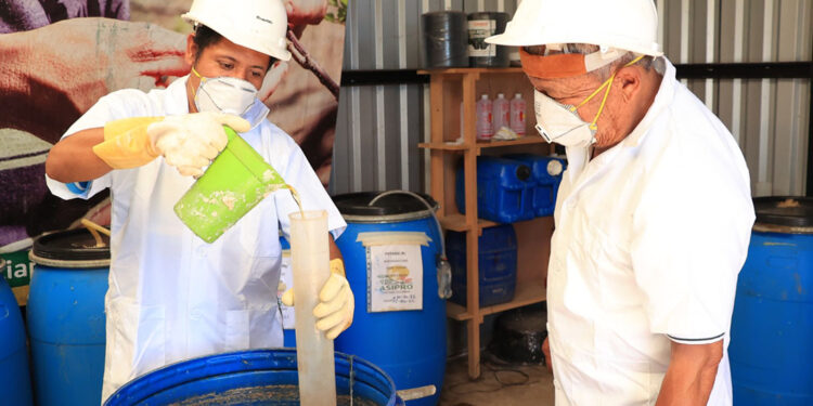 Los biofertilizantes una alternativa natural