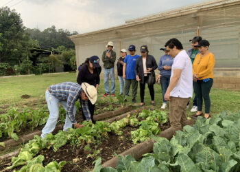 Personas con discapacidad auditiva aprenden procesos agrícolas y pecuarios