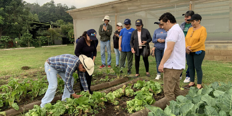 Personas con discapacidad auditiva aprenden procesos agrícolas y pecuarios