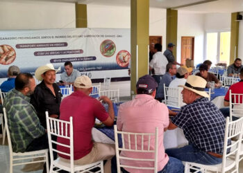 Prevención en acción: instrucciones son claves para evitar el ingreso del gusano barrenador