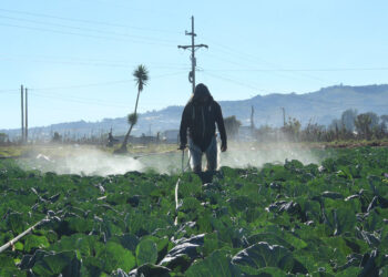Prevenga sus cultivos de las bajas temperaturas