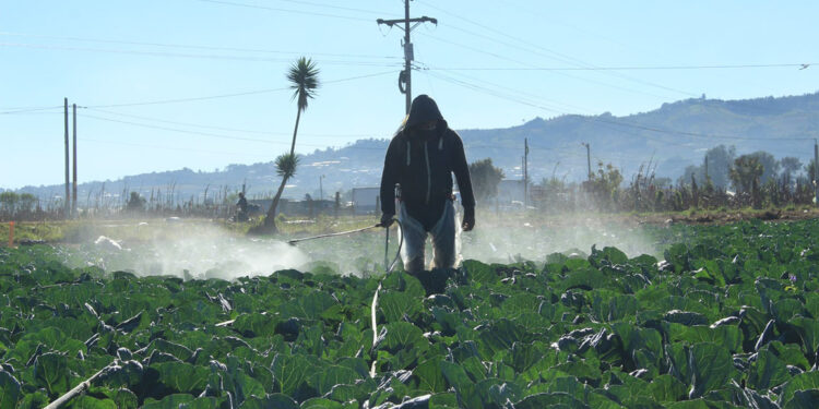 Prevenga sus cultivos de las bajas temperaturas