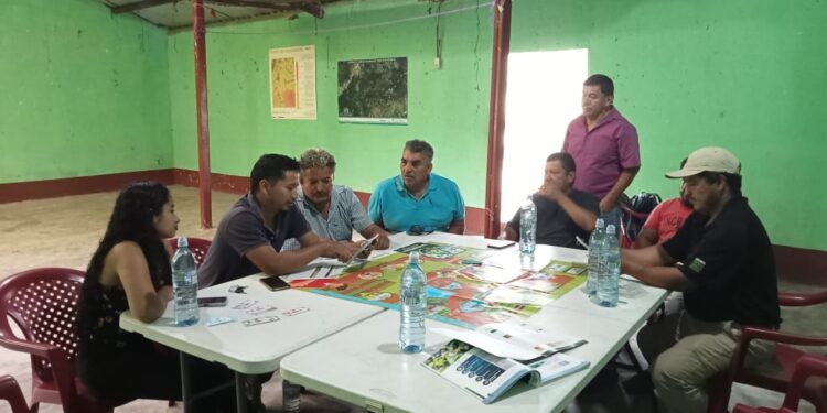 Productores aprenden cuidados previos a la cosecha de aguacate para garantizar calidad