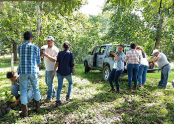 Promueven prácticas sostenibles en Petén