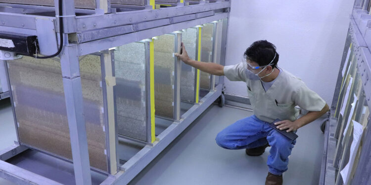 Protección contra mosca del mediterráneo