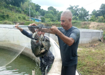 Proyectos acuícolas de Petén reciben asistencia técnica