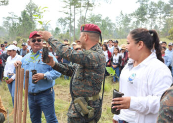 Realizan jornada de reforestación en Poptún