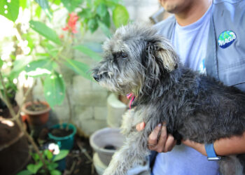 Rescate por maltrato