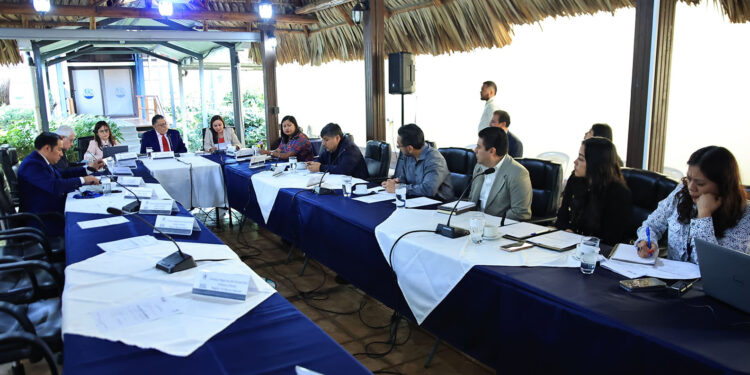 Se realiza la IV Reunión de COMDUR