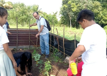 Seguimiento y asistencia técnica a huertos escolares en San Marcos