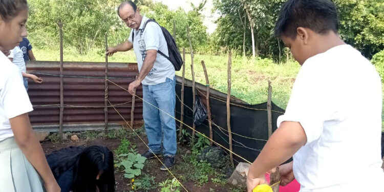 Seguimiento y asistencia técnica a huertos escolares en San Marcos