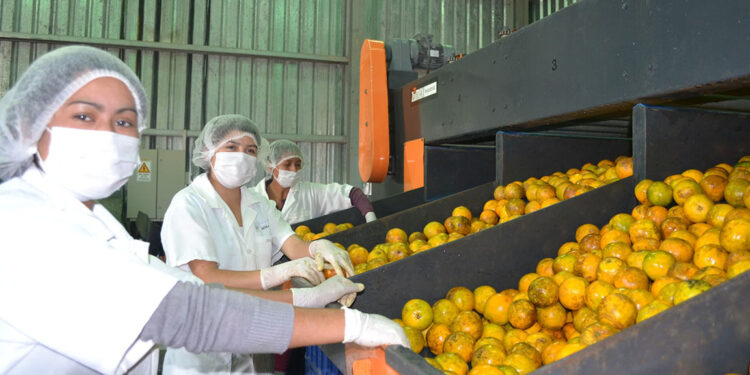 Un cítrico dulce rico en vitamina C