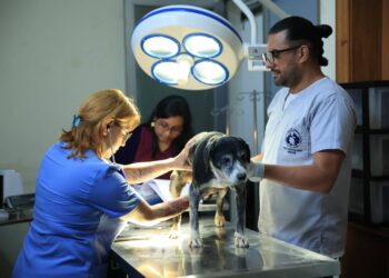 Unidad de Bienestar Animal