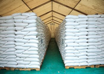 Verifican avances de trabajos en bodegas de INDECA en Tactic