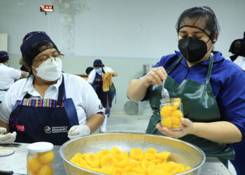 La agroindustria de la transformación de la fruta