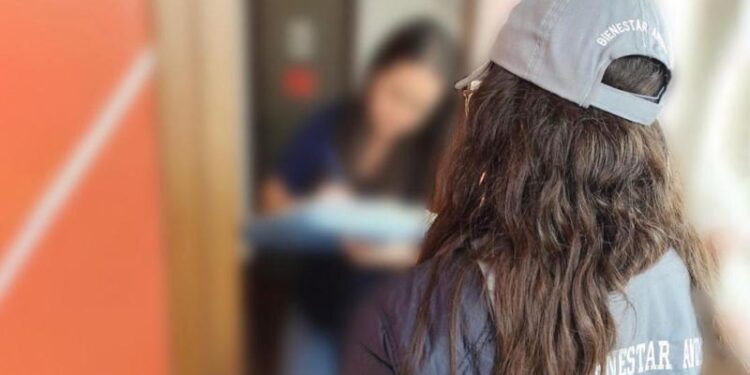 Caso del perro Terry: se desarrolla investigación para determinar sanciones