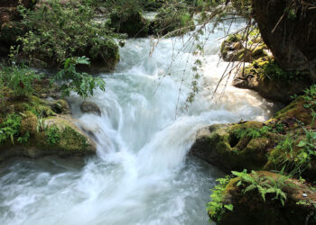 Aprenda acerca de las cuencas hidrográficas