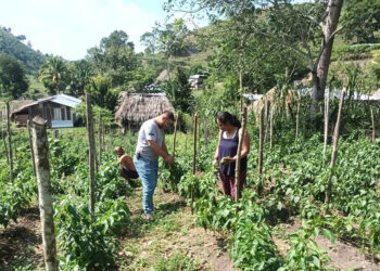 Brindan apoyo técnico en la Zona de Adyacencia