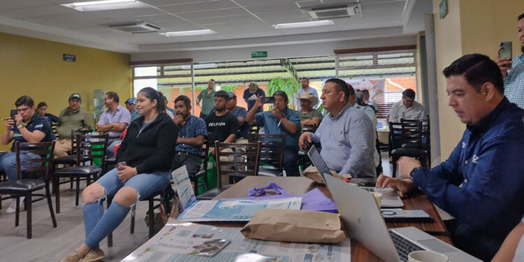 Celebran Día de la Tilapia en Salamá