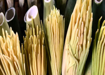 Conozca más acerca de la pacaya