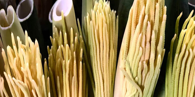 Conozca más acerca de la pacaya