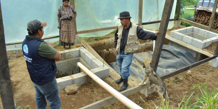 Conozca qué es un biodigestor