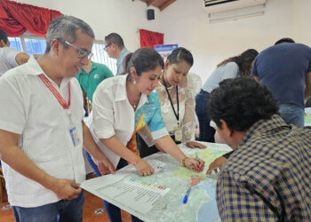 Continúa actualización del mapa de cobertura vegetal