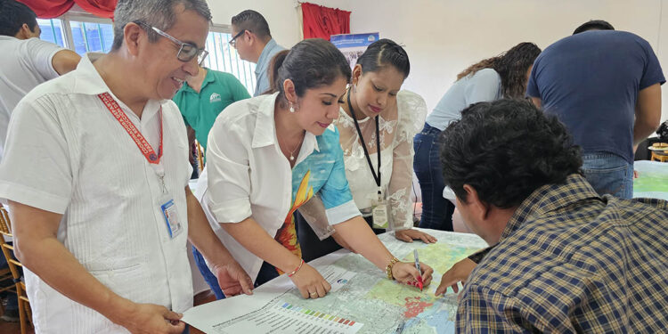 Continúa actualización del mapa de cobertura vegetal