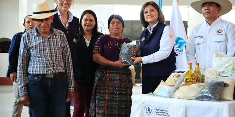 Contribuyendo con la seguridad alimentaria de las familias de Baja Verapaz