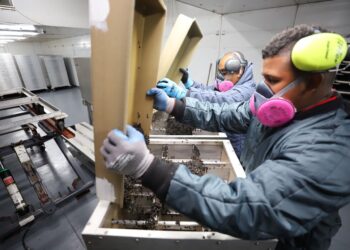 Dispersan alrededor de 8 millones de moscas estériles del Gusano Barrenador del Ganado