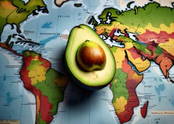 El aguacate Hass guatemalteco y su presencia en el mundo