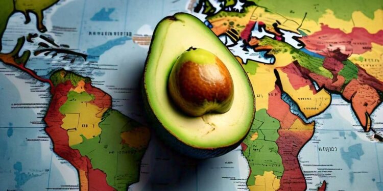 El aguacate Hass guatemalteco y su presencia en el mundo