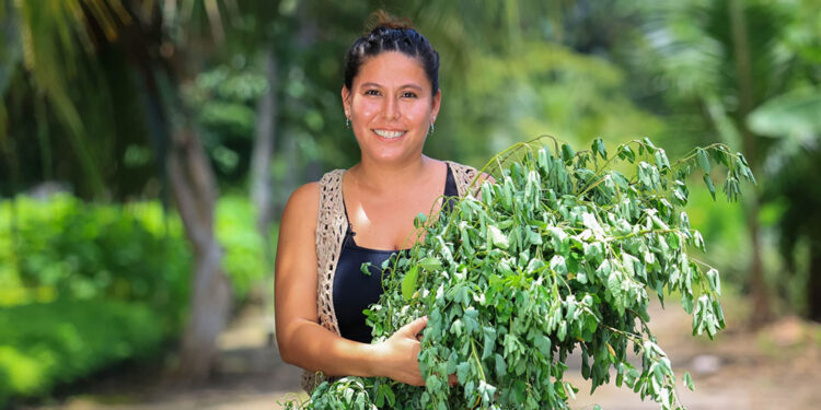 El chipilín es una fuente de vitaminas y hierro