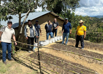 Elaboran huerto demostrativo en Huehuetenango