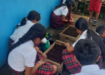 En San Marcos dan seguimiento a los huertos escolares