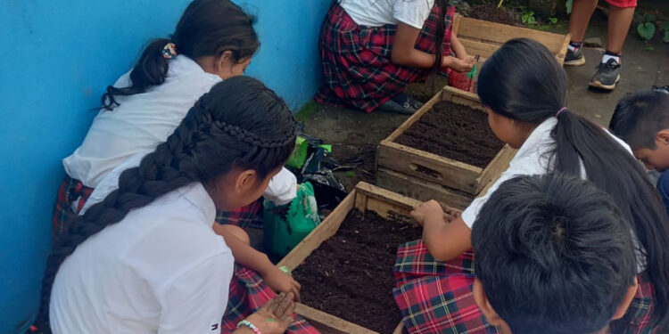 En San Marcos dan seguimiento a los huertos escolares