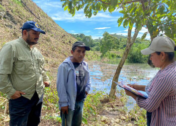 En el sur de Petén monitorean daños en cultivos tras el paso de la tormenta Sara