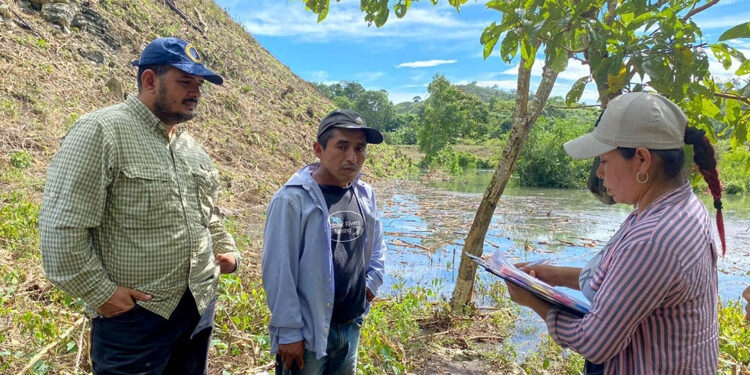 En el sur de Petén monitorean daños en cultivos tras el paso de la tormenta Sara