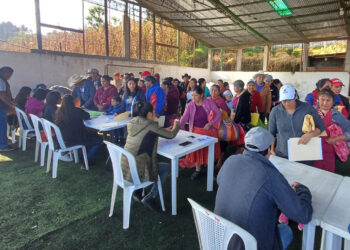 Entregan más Alimentos por Acción en diferentes municipios y departamentos