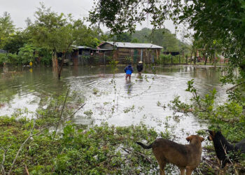 MAGA se encuentra en apresto para atender a damnificados por tormenta Sara