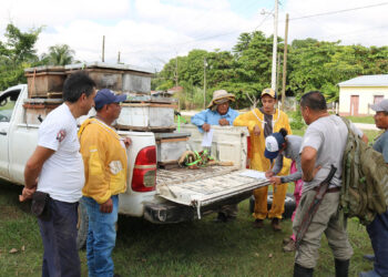 Fortalecen la apicultura en Melchor de Mencos