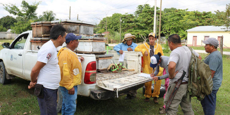 Fortalecen la apicultura en Melchor de Mencos