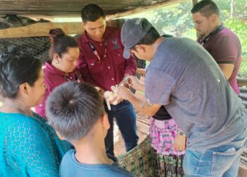 Fortalecimiento a la Producción Avícola de Petén