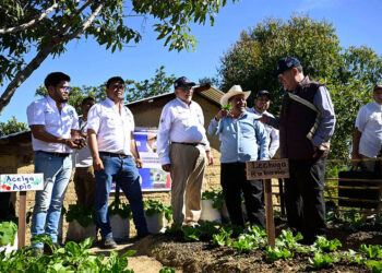 Implementan huerto familiar con la iniciativa Mano a Mano