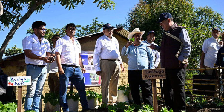 Implementan huerto familiar con la iniciativa Mano a Mano