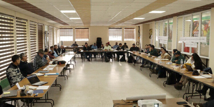 Iniciativa VACS en Guatemala busca impulsar desarrollo y sostenibilidad agrícola