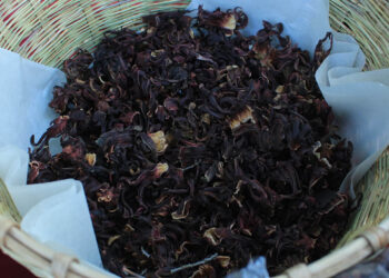 La Jamaica es más que una bebida