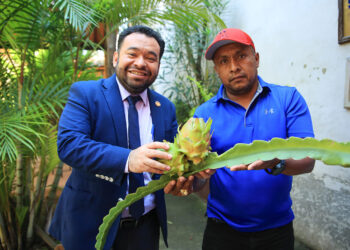 La pitahaya se perfila como producto exportable